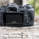 Image for article titled I Pitted Canon's 'Affordable' EOS RP Against My Beloved Sony A7 III